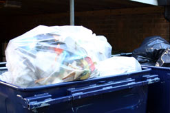 Rubbish in bins.
