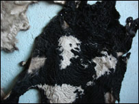 دڅارويوپوستکي