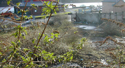 BBC Radio Foyle - Tillie and Henderson gallery