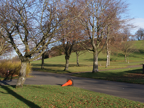 Colour view of path among trees in Bellahouston Park with grassy hill behind.