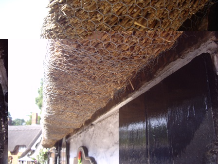 This is a close-up of a thatched roof. It