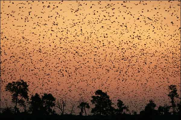 世界报业图片大展