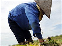 Một nông dân Việt Nam