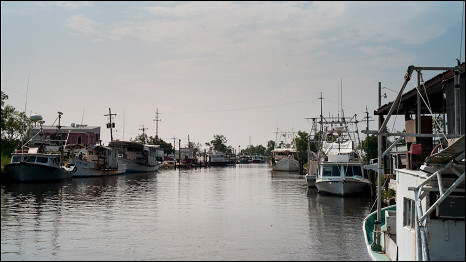 Bayou La Loutre, part of the large network of inland waterways that are threatened by the oil drifting in from the Gulf of Mexico