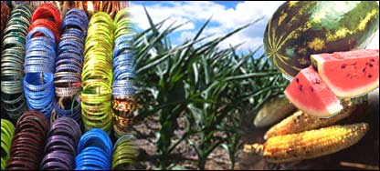 هنداوڼې، جوار او بنگړي