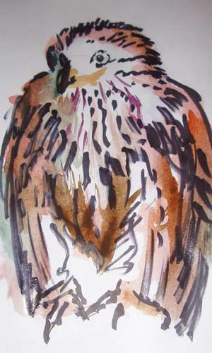 red-kite-ink.jpg