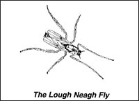 Image of Lough Neagh Fly