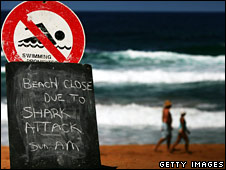Closed sign at Avalon beach