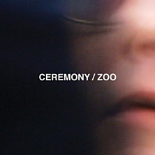 Review of Zoo Review of Zoo