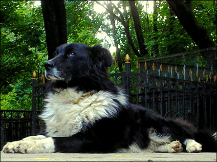 Фото Олега Таткова