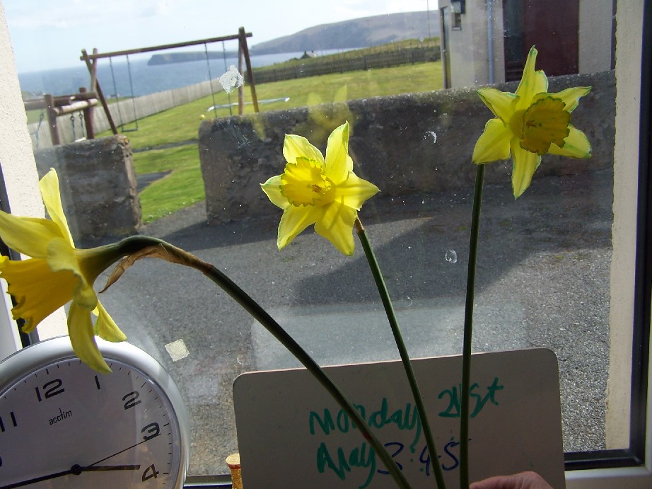 Changes begin to show.