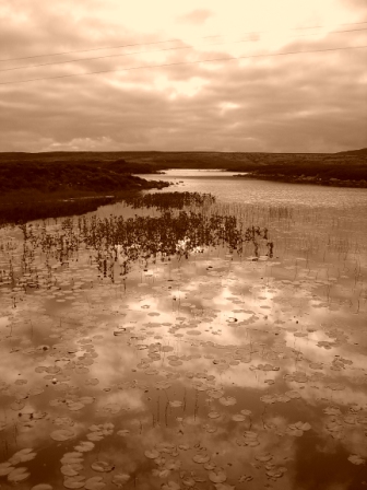 langass area, North Uist