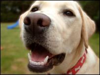 Muitos moradores estão revoltados