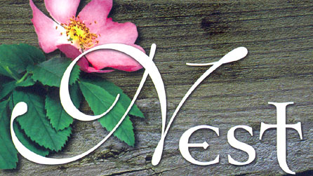 Rhan o glawr y llyfr