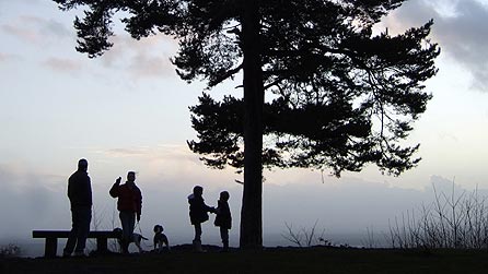 Silhouette of people round a tree