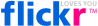 flickr_logo.gif