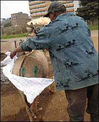 गधे को लंगोट