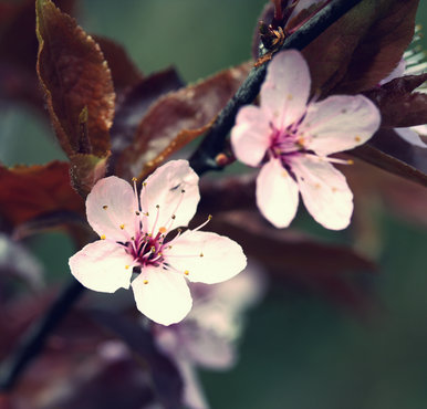 time means nothing at all