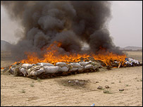 نابودی مواد مخدر