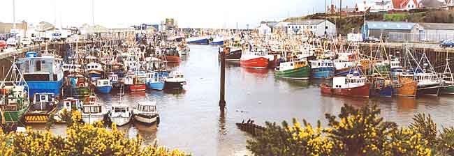 Kilkeel Harbour in 2002