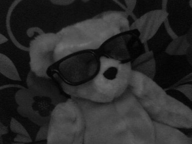 Teddy cool :)