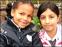 Down on the allotments