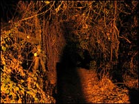 بوټي په تياره کې