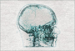 cross section sketch of a human head