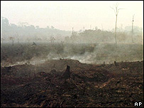 Queimada nba Floresta Amazônica