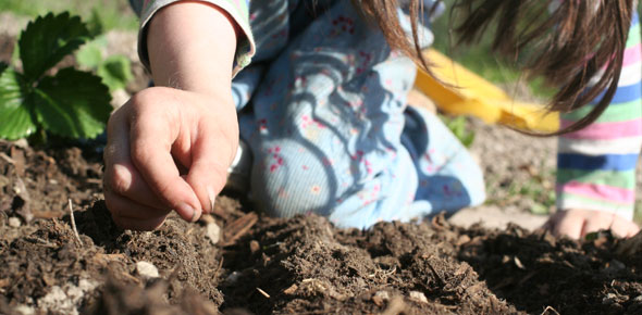 child sowing a seed