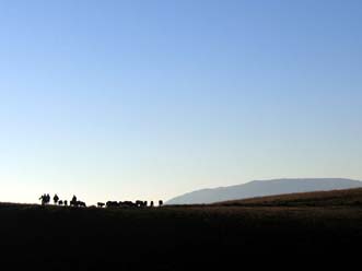 Dawn: early start in Tapiketsa