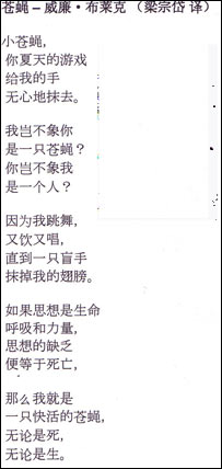 《苍蝇》（中译）