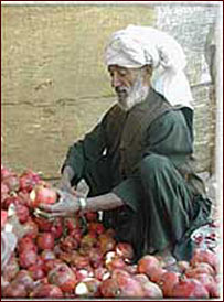 نظر دهقانی در مورد کوپراتيف