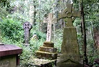 Karen Griffiths: A Walk on My Dark Side