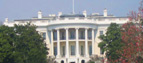 The Whitehouse