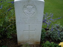 Bertie Thorne Bertie Thorne