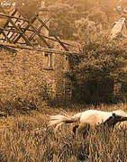 Le Moulin de Quetivel watermill after the 1969 fire