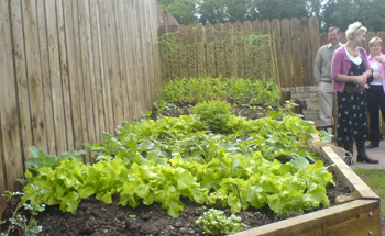 The vegetables are thriving.