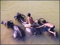 Nguyễn Huy Thiệp viết về lịch sử nhưng suy tư về tương lai