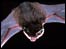 Flying pipistrelle bat