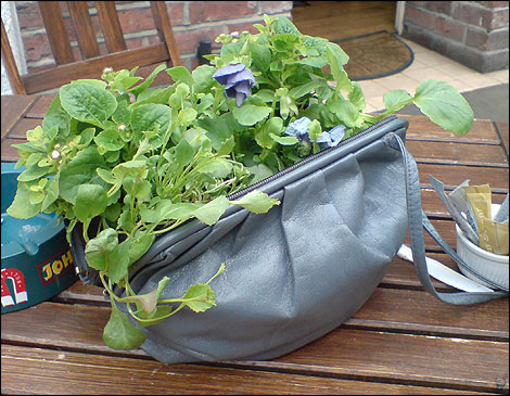 Flowers in handbag