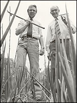 Gardeners Don Williams and Bill Nelson