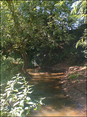 Tang Hall beck, Heworth Holme