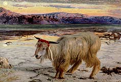 Image: The Scapegoat by William Holman Hunt The Scapegoat, 1854-55. By permission of National Museums and Galleries Merseyside