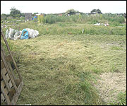 Allotment cleared