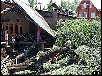 Кашмирда кесилган чинор дарахти