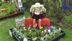 One of the pallet gardens.