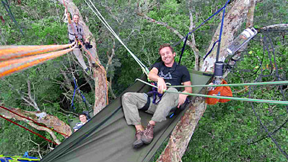 Bruce perches high up in the canopy