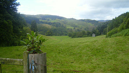 Hafod Estate