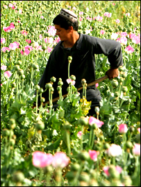 پوست کی کاشت 